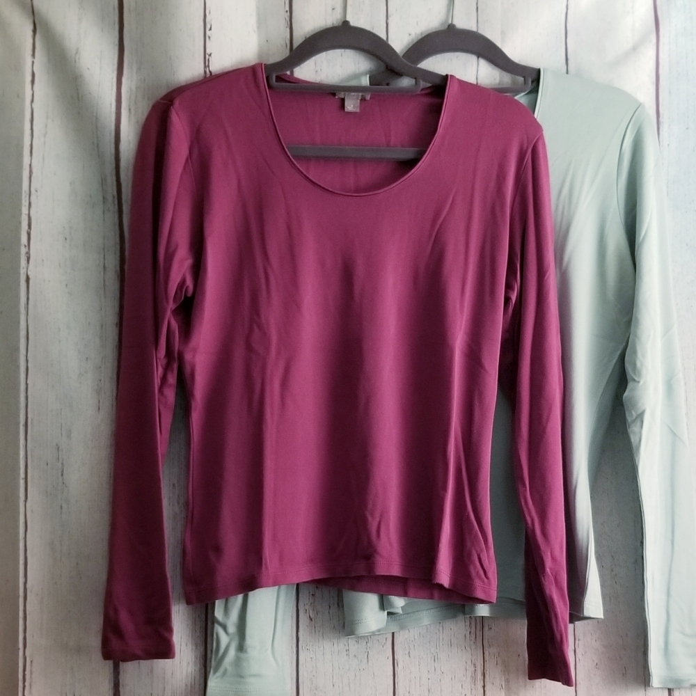 Ann Taylor LOT OF 2 Silk blend shirts